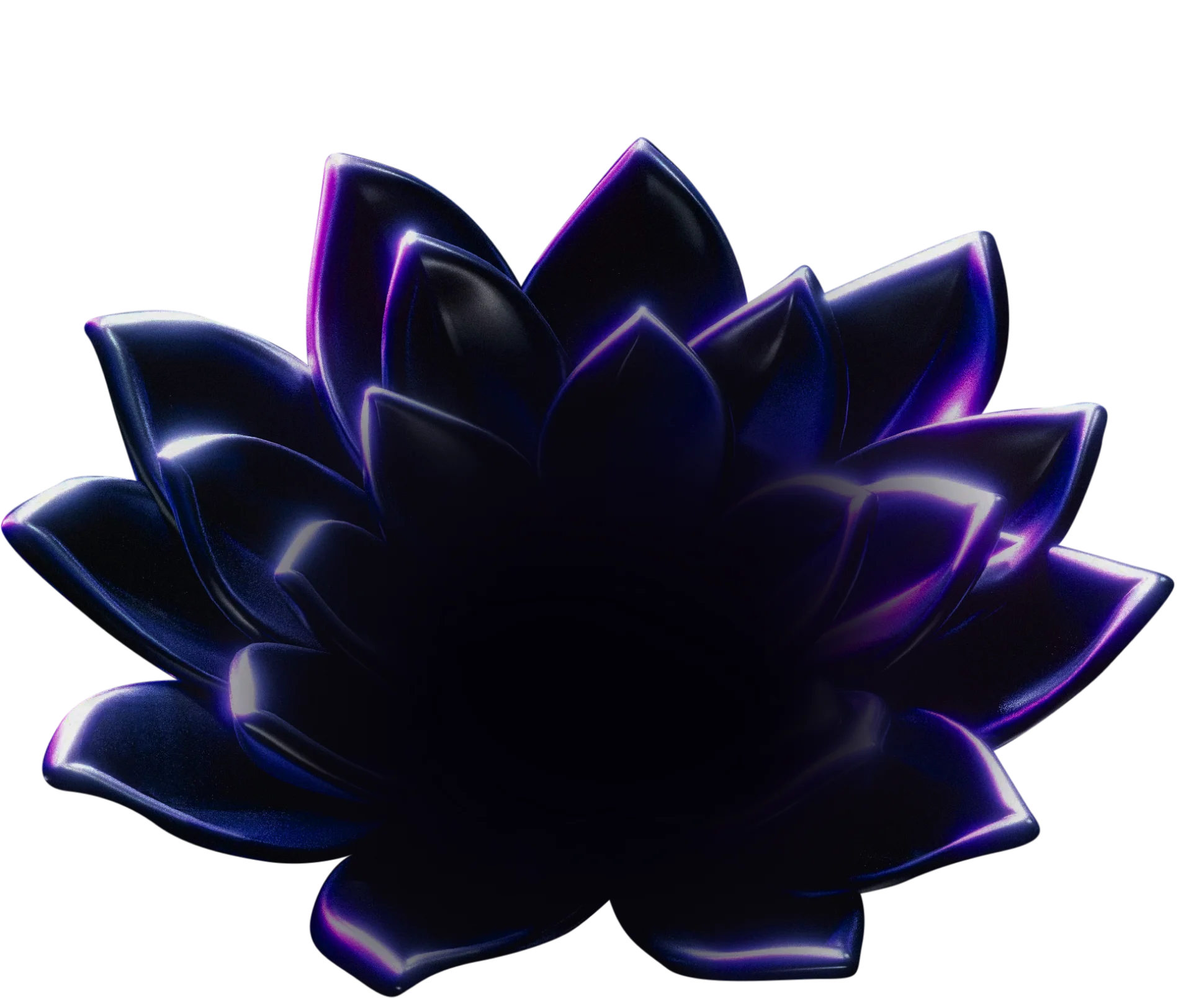 Fleur lotus praticien reiki